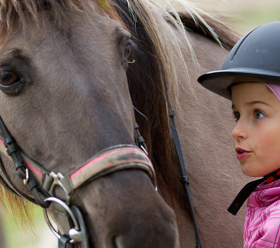 Andretti - Chandler, AZ 4 Theme Animals 33