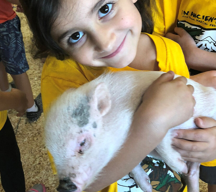 Andretti - Chandler, AZ 11 <b>Andretti Chandler:</b> Summer Camp - Week 06