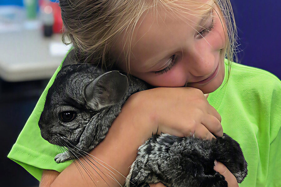 <b>Altitude Gilbert:</b> Fall Camp - Week 02 21 theme animal 15
